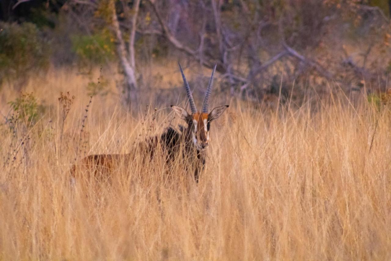 Fumani Game Lodge Модимолле Экстерьер фото