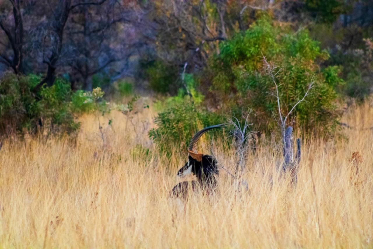 Fumani Game Lodge Модимолле Экстерьер фото