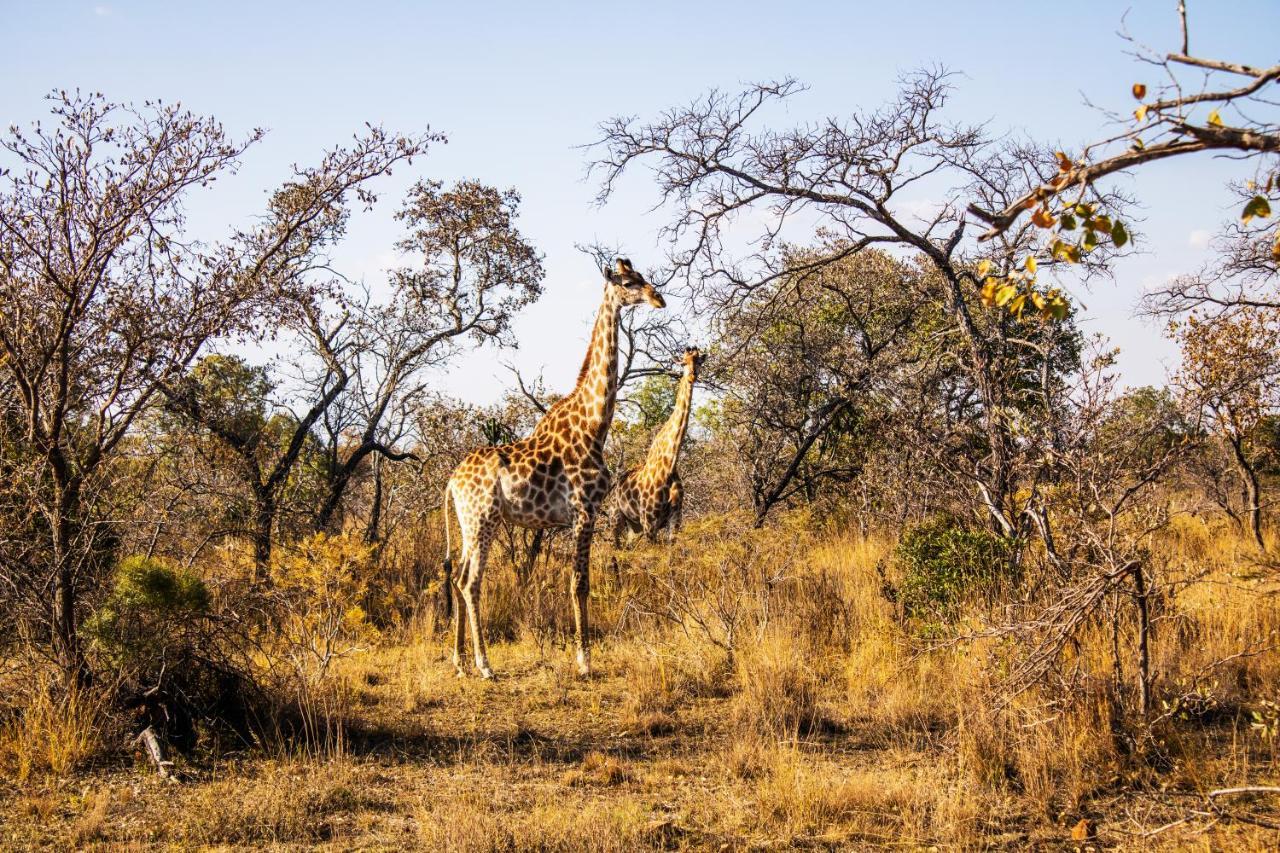 Fumani Game Lodge Модимолле Экстерьер фото